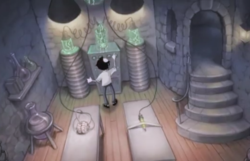 Animation Videos